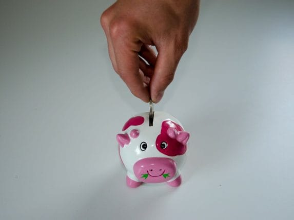 save up, piggy bank, money
